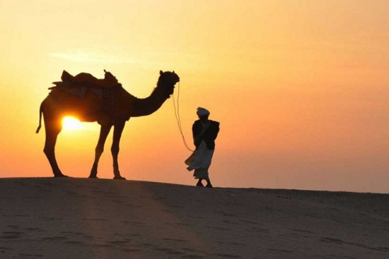 Why one should go for overnight camping at Desert Safari Dubai