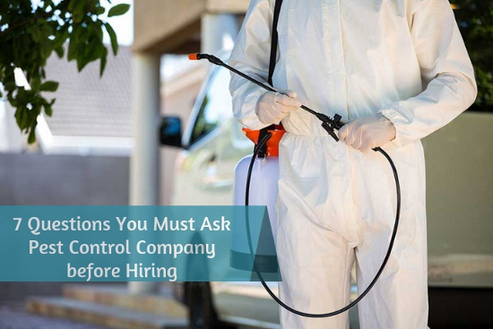7 Questions You Must Ask Pest Control Company before Hiring