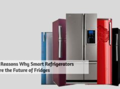 5 Reasons Why Smart Refrigerators are the Future of Fridges