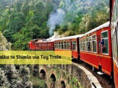 Kalka to Shimla via Toy Train