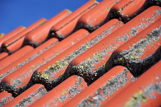 How to keep your roof clean