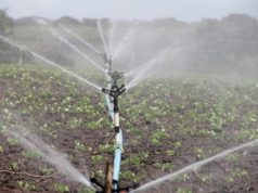 How Irrigation System Works For Your Garden in winter