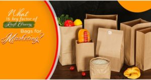 What is key factor of Kraft Grocery Bags for Marketing