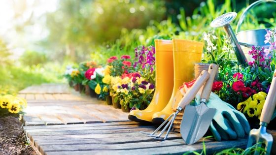 Top 10 tips to stay fit by Home Gardening