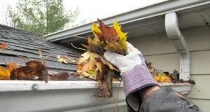 Choosing a Company for Gutter Cleaning Melbourne