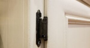 Butt Hinge: An Ideal Choice For The Flexibility Of Doors