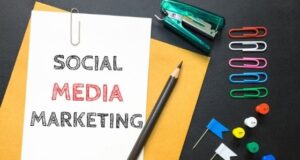 Which is Better Out of Facebook and Instagram for Social media Marketing