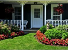 How to Keep Lawn Green in the Summer Heat - 8 Key Maintenance Tips