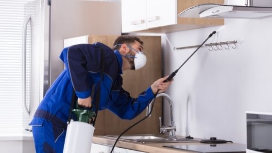 What Questions Should I Ask When Hiring a Local Pest Control Company