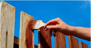 Fence Staining for Beginners - The Basics Explained