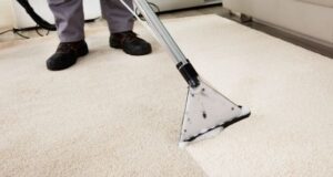 Steam Cleaned Carpet with Reduced Drying Time