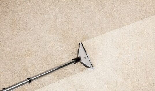 How Does Carpet Cleaning Experts Perform Their Jobs