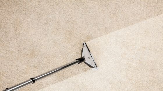 How Does Carpet Cleaning Experts Perform Their Jobs