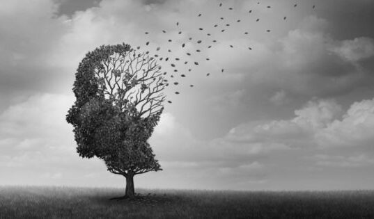How Memory Loss Affects the Human Brain