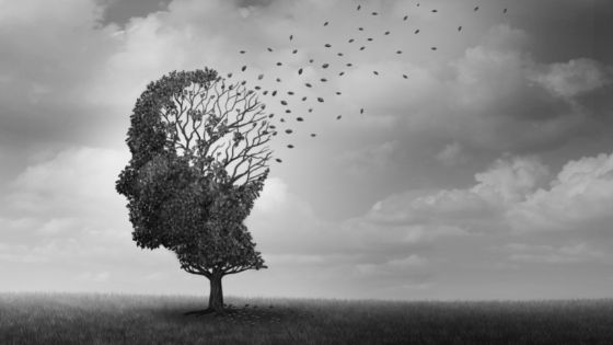 How Memory Loss Affects the Human Brain