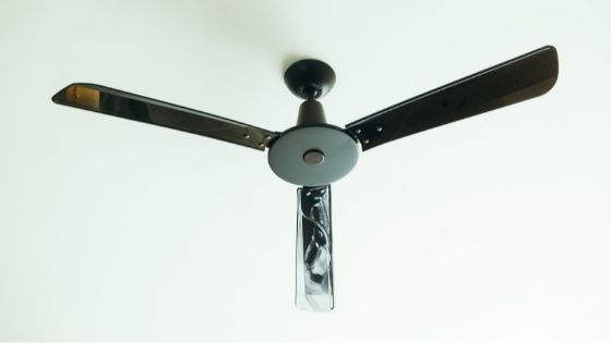 Stay Cool During the Summer Season with These Branded Fan