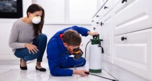 How to Hire the Best Pest Control Companies for your Home or Office