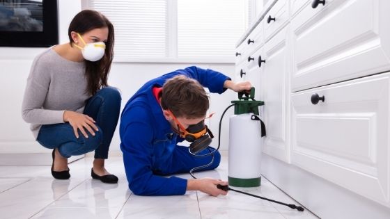 How to Hire the Best Pest Control Companies for your Home or Office