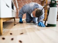 What are the Advantages of Doing Pest Control Methods