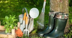 tips for storing garden tools over the winter