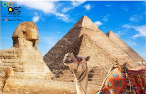 unveiling the wonders a guide to egypt tour packages
